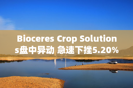 Bioceres Crop Solutions盘中异动 急速下挫5.20%报6.20美元