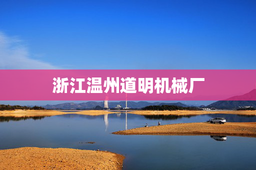 浙江温州道明机械厂