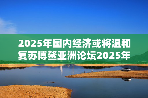 2025年国内经济或将温和复苏博鳌亚洲论坛2025年年会将于明年3月25日至28日举行