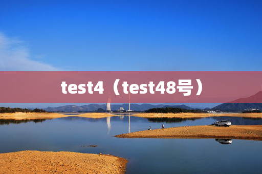 test4（test48号）