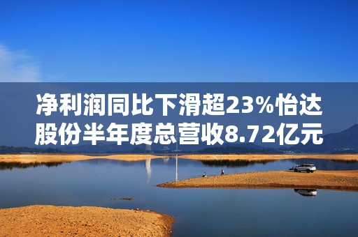 净利润同比下滑超23%怡达股份半年度总营收8.72亿元，同比下降0.84%