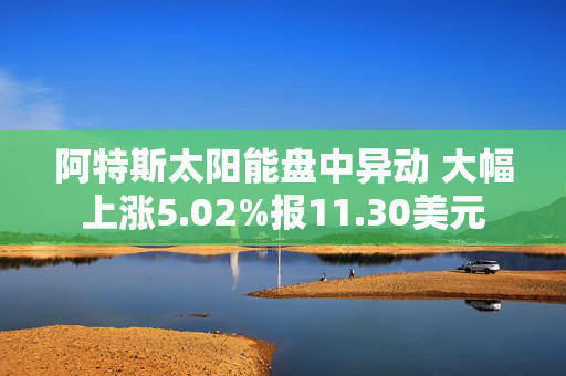 阿特斯太阳能盘中异动 大幅上涨5.02%报11.30美元