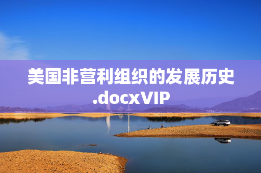 美国非营利组织的发展历史.docxVIP