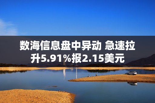 数海信息盘中异动 急速拉升5.91%报2.15美元