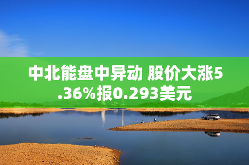 中北能盘中异动 股价大涨5.36%报0.293美元