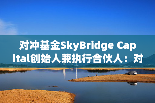 对冲基金SkyBridge Capital创始人兼执行合伙人：对MicroStrategy债务的担忧被夸大了