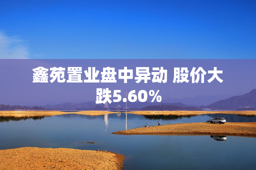 鑫苑置业盘中异动 股价大跌5.60%