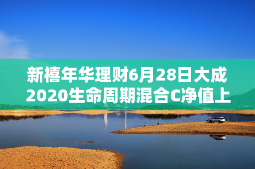 新禧年华理财6月28日大成2020生命周期混合C净值上涨0.23%