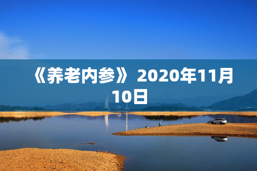 《养老内参》 2020年11月10日