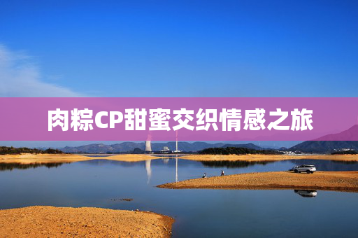 肉粽CP甜蜜交织情感之旅