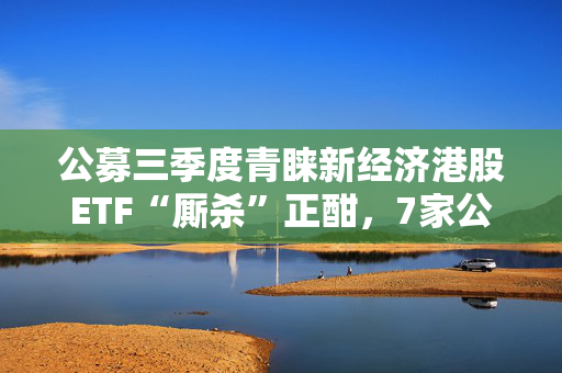 公募三季度青睐新经济港股ETF“厮杀”正酣，7家公募坐拥76%！