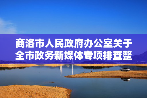 商洛市人民政府办公室关于全市政务新媒体专项排查整治情况的通报