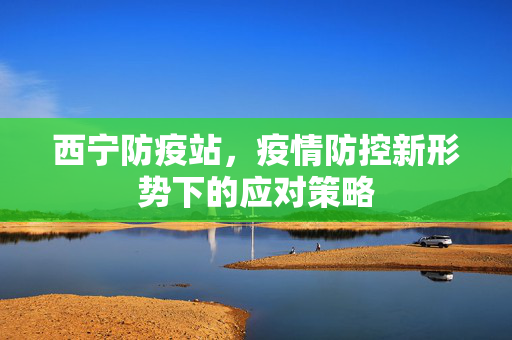 西宁防疫站，疫情防控新形势下的应对策略