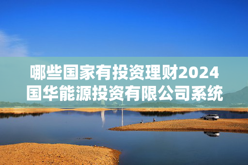 哪些国家有投资理财2024国华能源投资有限公司系统内招聘164人公告