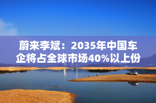 蔚来李斌：2035年中国车企将占全球市场40%以上份额