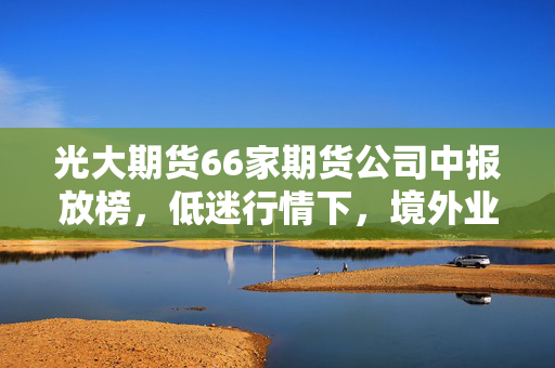 光大期货66家期货公司中报放榜，低迷行情下，境外业务、风险管理成转型胜负手