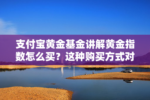 支付宝黄金基金讲解黄金指数怎么买？这种购买方式对市场流动性有何影响？