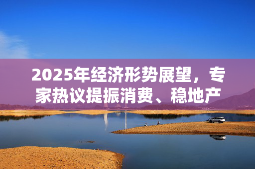 2025年经济形势展望，专家热议提振消费、稳地产