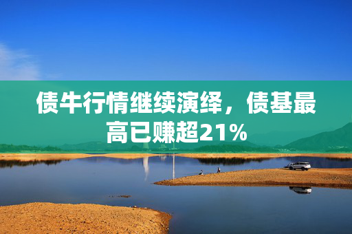 债牛行情继续演绎，债基最高已赚超21%