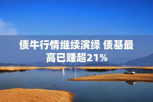 债牛行情继续演绎 债基最高已赚超21%