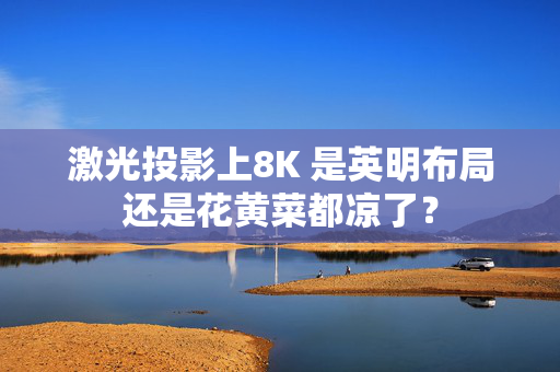 激光投影上8K 是英明布局还是花黄菜都凉了？