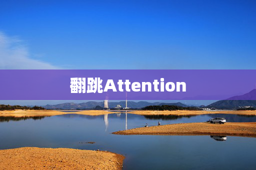 翻跳Attention