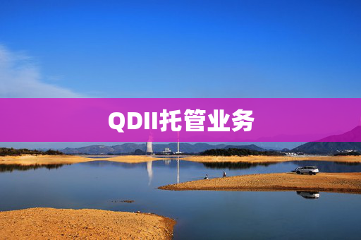 QDII托管业务