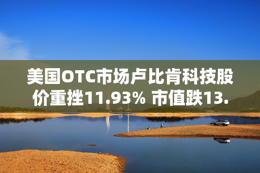 美国OTC市场卢比肯科技股价重挫11.93% 市值跌13.78万美元