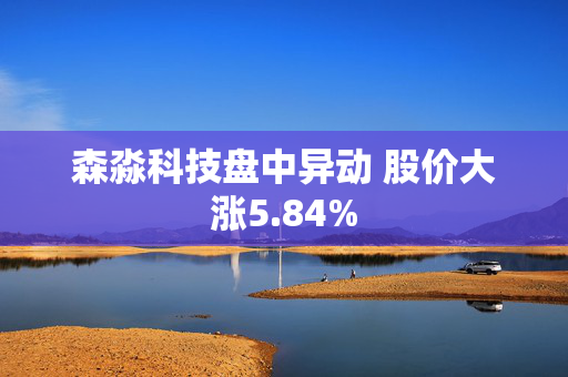 森淼科技盘中异动 股价大涨5.84%