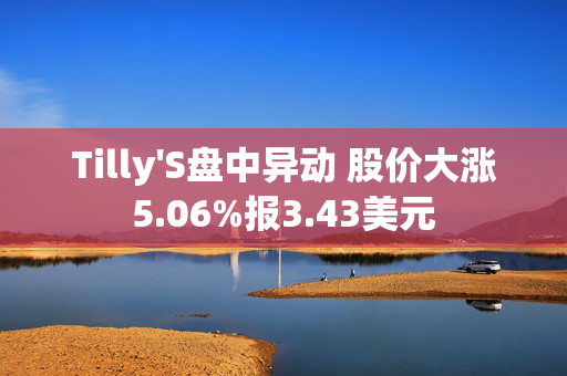 Tilly'S盘中异动 股价大涨5.06%报3.43美元