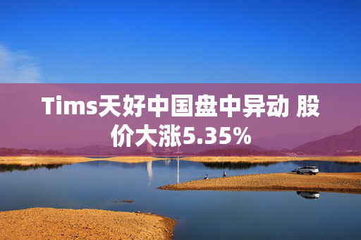 Tims天好中国盘中异动 股价大涨5.35%