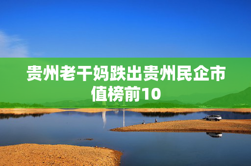 贵州老干妈跌出贵州民企市值榜前10