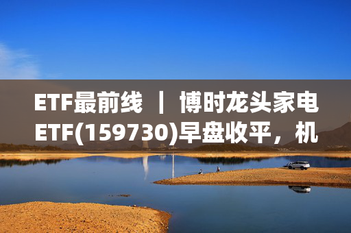 ETF最前线 ｜ 博时龙头家电ETF(159730)早盘收平，机器人概念主题走强，伟创电气上涨19.99%播报文章