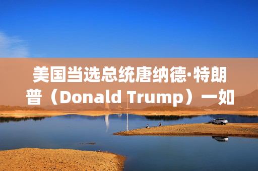 美国当选总统唐纳德·特朗普（Donald Trump）一如既往地坚持他给自己起的“关税使者”的绰号。这次，在他就职前几周，他瞄准了一些世界上增长最快的经济大国。_11