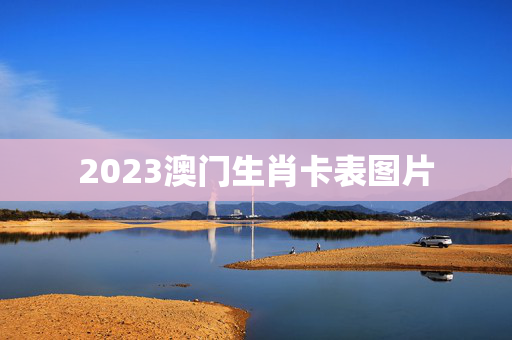 2023澳门生肖卡表图片