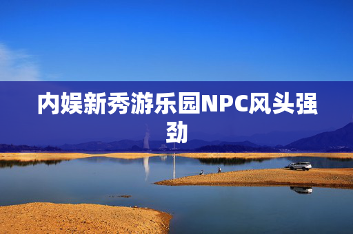 内娱新秀游乐园NPC风头强劲