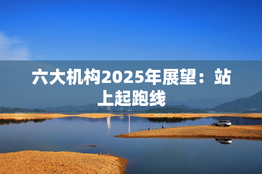 六大机构2025年展望：站上起跑线