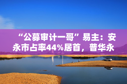 “公募审计一哥”易主：安永市占率44%居首，普华永道降至第五位