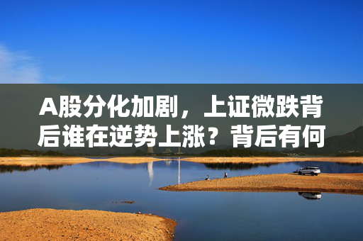 A股分化加剧，上证微跌背后谁在逆势上涨？背后有何玄机？