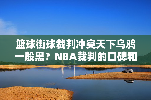 篮球街球裁判冲突天下乌鸦一般黑？NBA裁判的口碑和中国篮球也没区别