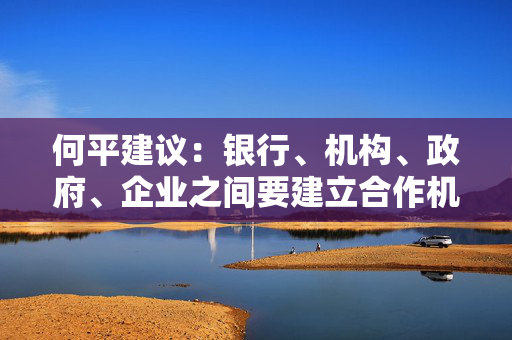 何平建议：银行、机构、政府、企业之间要建立合作机制，降低信息不对称