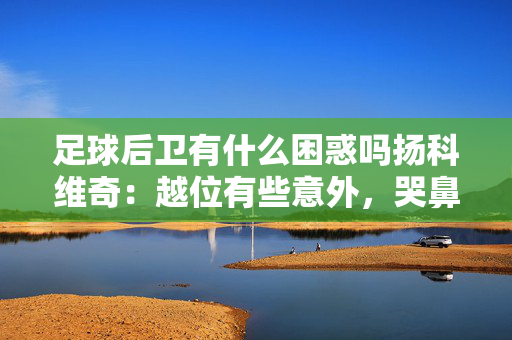 足球后卫有什么困惑吗扬科维奇：越位有些意外，哭鼻子抱怨解决不了问题