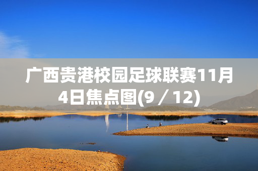 广西贵港校园足球联赛11月4日焦点图(9／12)