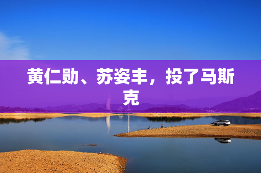 黄仁勋、苏姿丰，投了马斯克