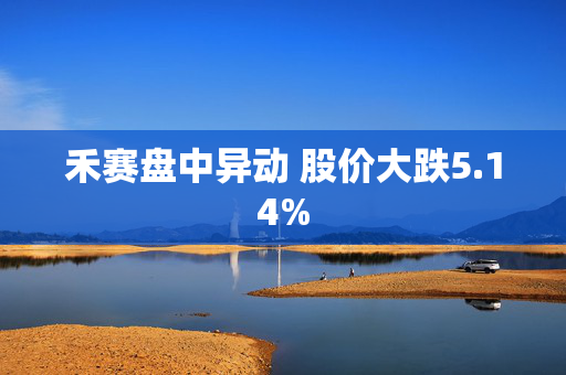 禾赛盘中异动 股价大跌5.14%