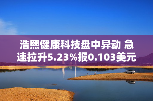 浩熙健康科技盘中异动 急速拉升5.23%报0.103美元