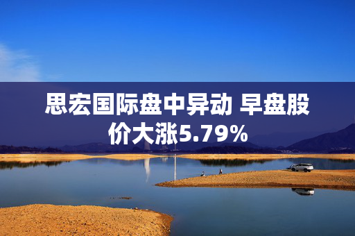 思宏国际盘中异动 早盘股价大涨5.79%