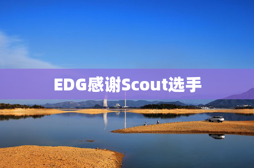 EDG感谢Scout选手