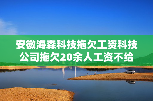 安徽海森科技拖欠工资科技公司拖欠20余人工资不给，法官帮追索