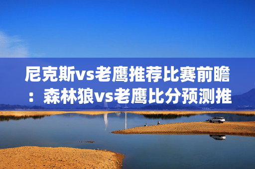 尼克斯vs老鹰推荐比赛前瞻：森林狼vs老鹰比分预测推荐(2024年12月24日)